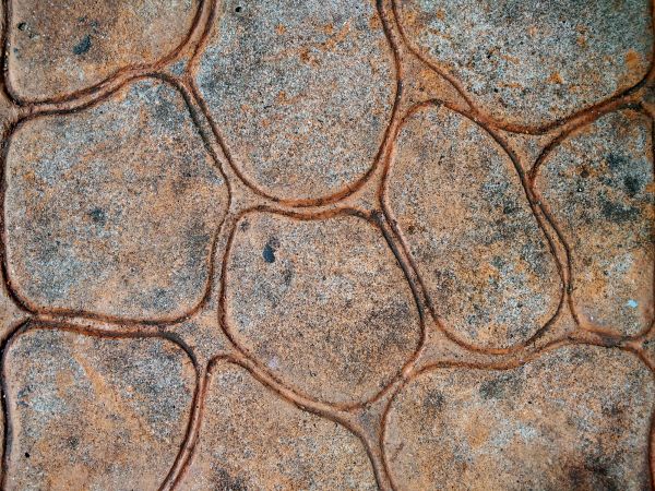 Cost of Stamped Concrete Replacement in Issaquah