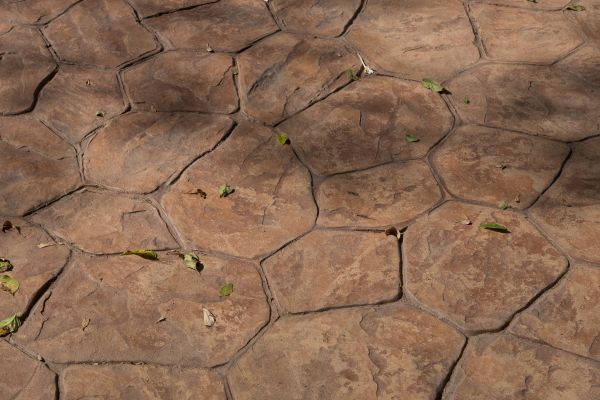 Cost of Concrete Texturing in Issaquah