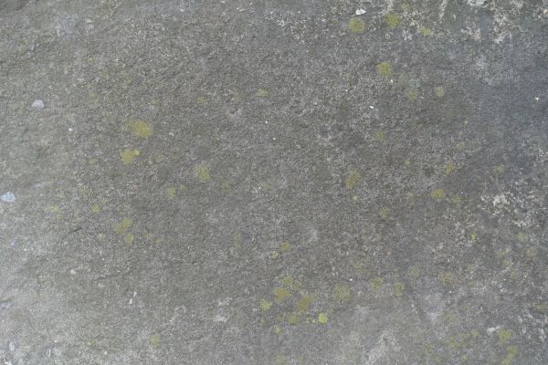 Cost of Slab Staining Service in Issaquah